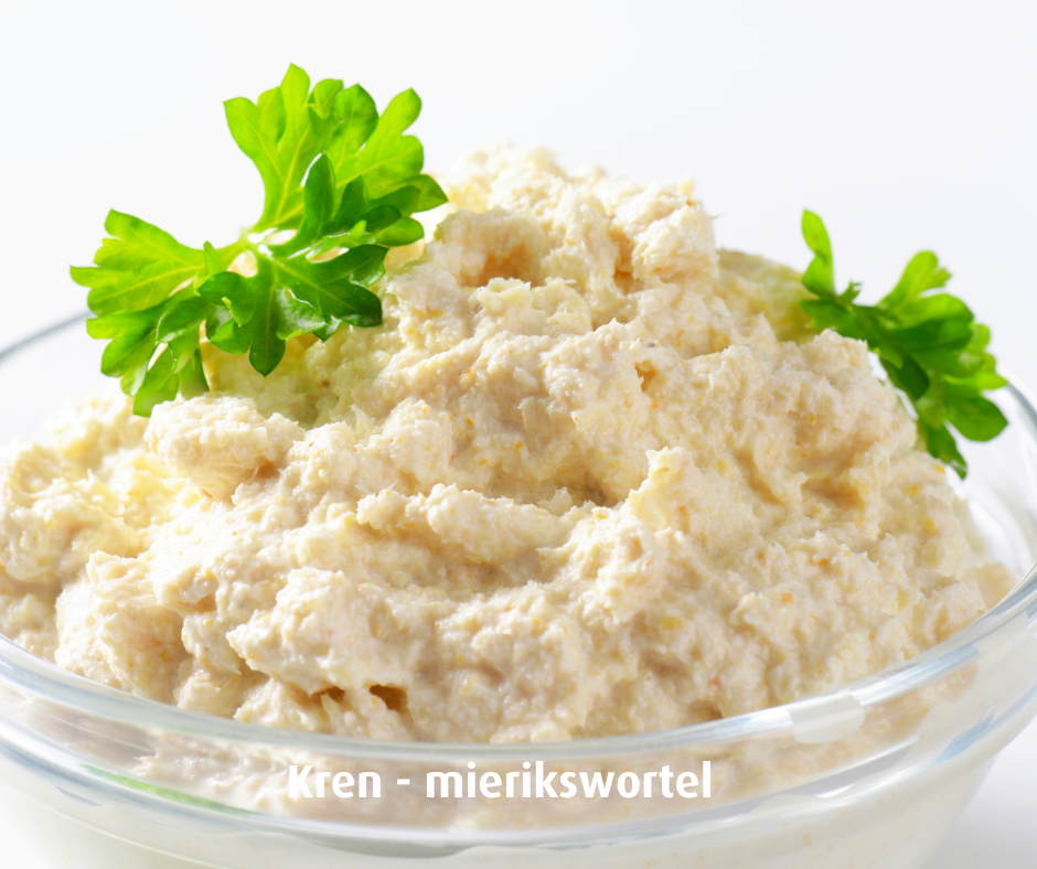 Kren mierikswortel