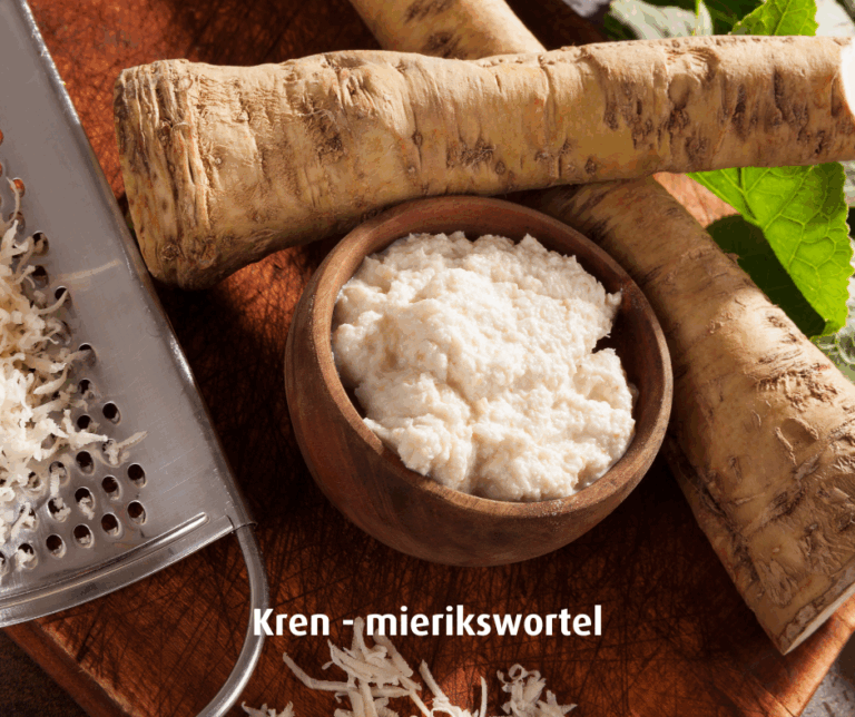 Kren mierikswortel