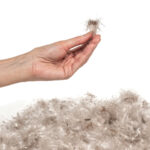 Hefel oostenrijks dekbed